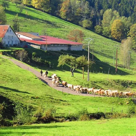 Les Fremi'zh Appartement Saint-Maurice-sur-Moselle