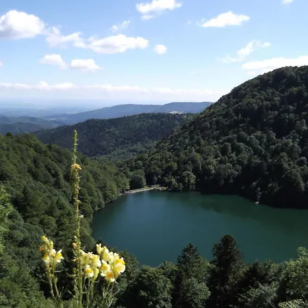Appartement Les Fremi'zh *