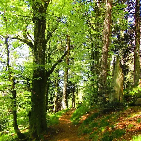 Les Fremi'zh Saint-Maurice-sur-Moselle