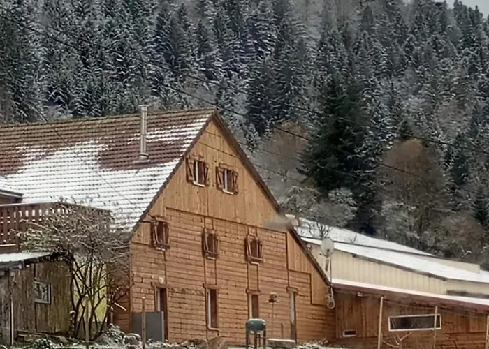 Les Fremi'zh Saint-Maurice-sur-Moselle