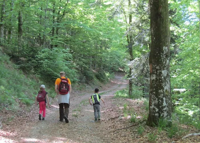 Les Fremi'zh * Saint-Maurice-sur-Moselle