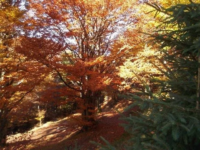 Les Fremi'zh * Saint-Maurice-sur-Moselle