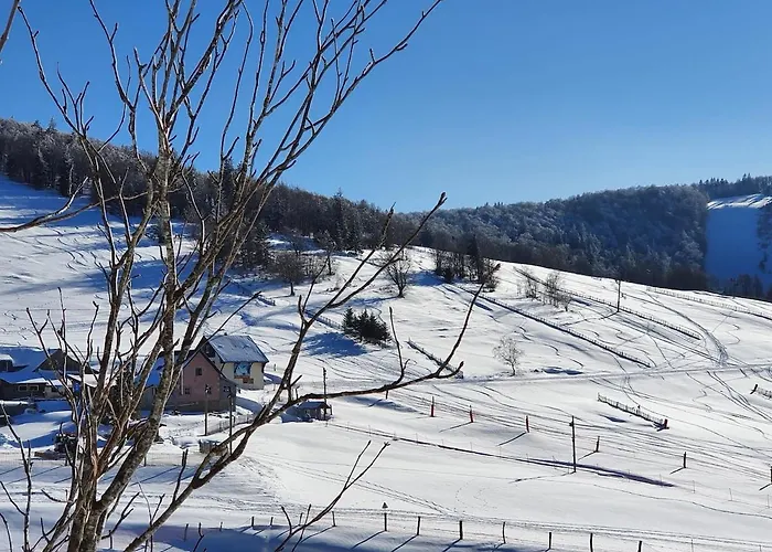 Les Fremi'zh * Saint-Maurice-sur-Moselle