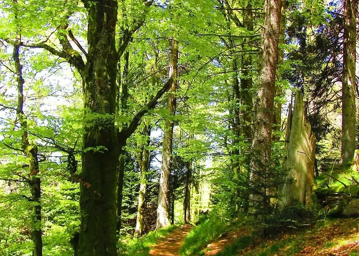 Les Fremi'zh Saint-Maurice-sur-Moselle