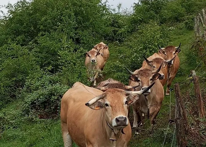 Apartmán Les Fremi'zh *